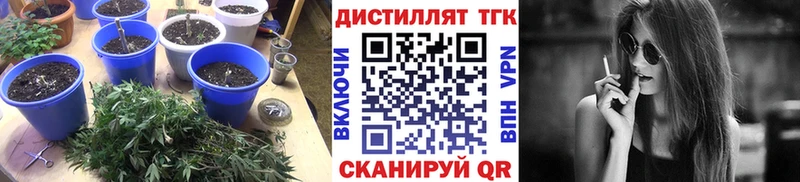 MEGA онион  как найти наркотики  Семёнов  Дистиллят ТГК вейп с тгк 